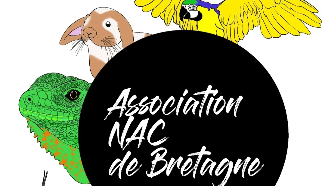 NAC de Bretagne